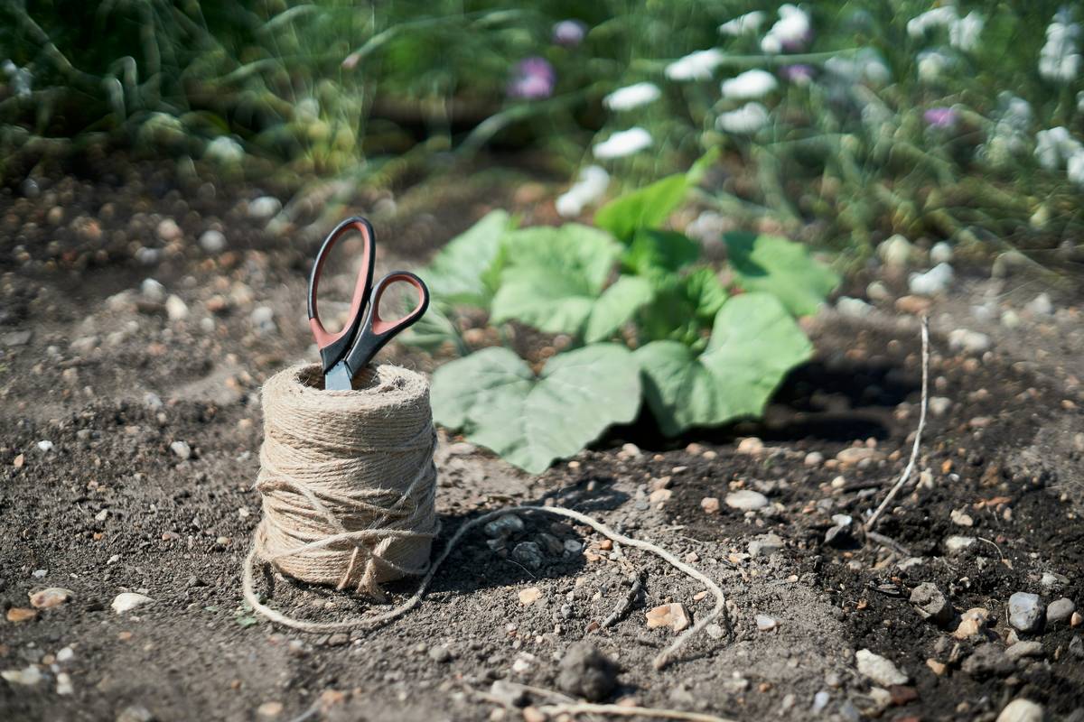 How to Tie Garden Stakes Together: 7 Proven Tips to Avoid Costly Mistakes