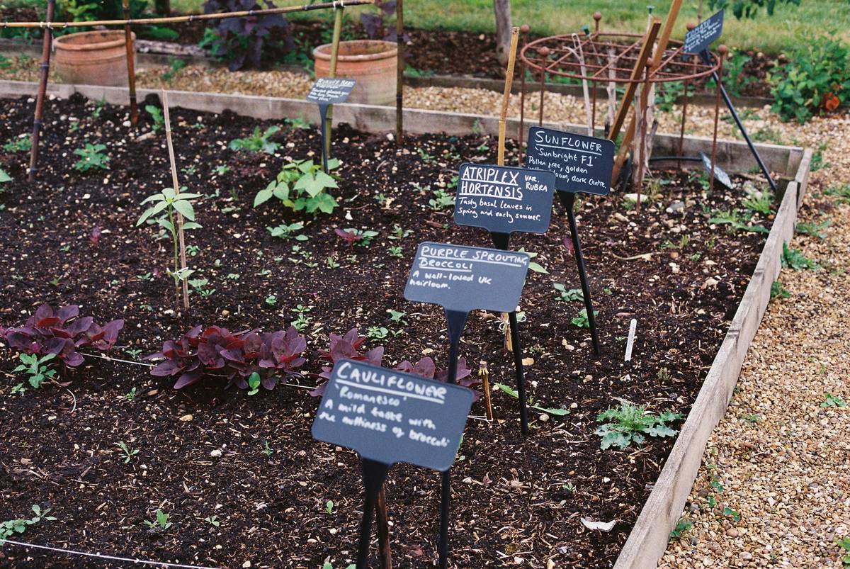 Proper installation depth for garden stakes home depot shoppers should follow