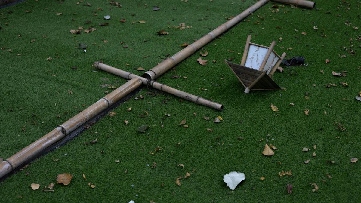 bamboo stakes for garden supporting tall tomato plants in a raised bed