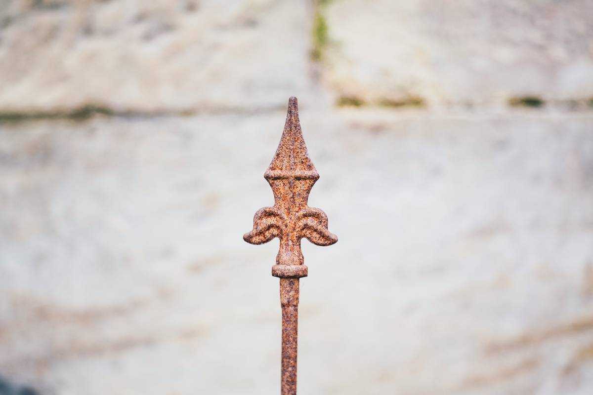 Garden Metal Stakes UK: 7 Proven Tips to Avoid Costly Mistakes