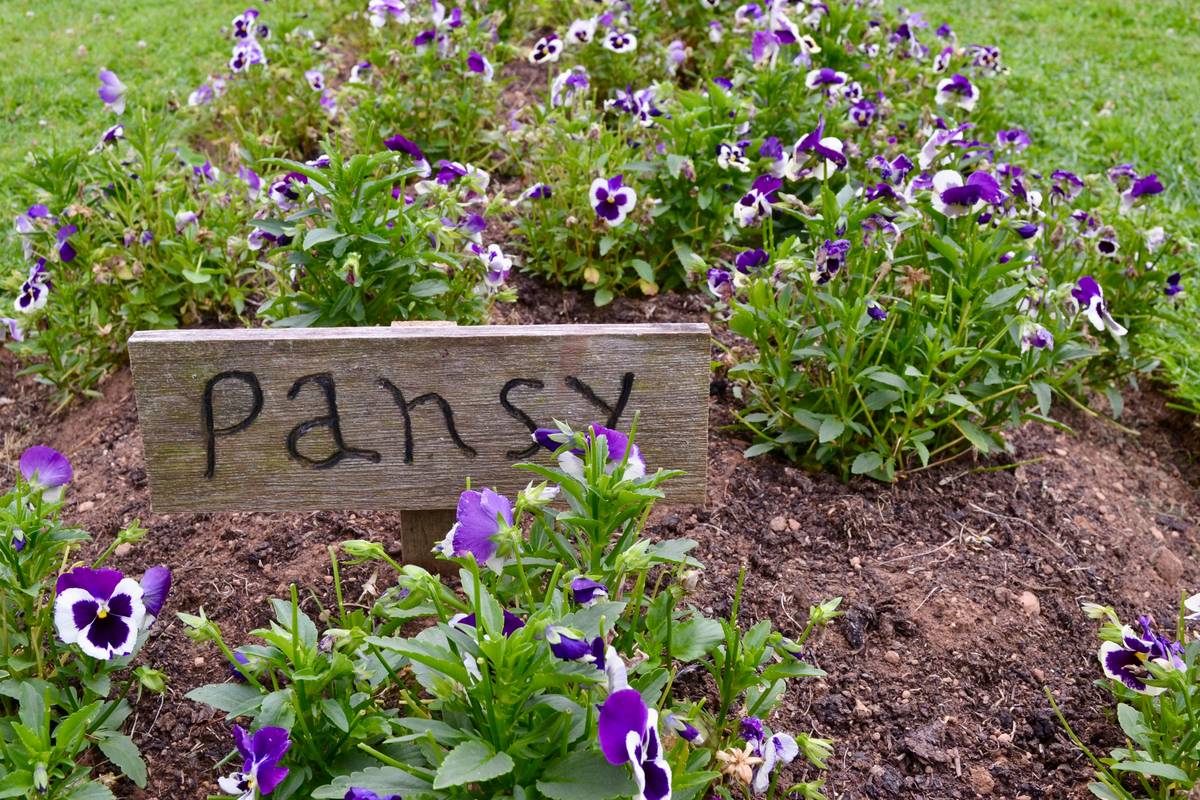 Garden Stake Labels: 7 Proven Tips to Avoid Costly Mistakes